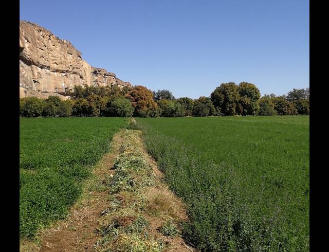 24HA FARM FOR SALE IN VIOOLSDRIF RURAL